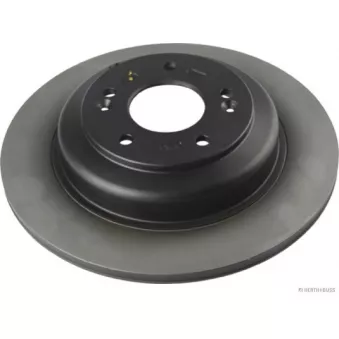 HERTH+BUSS JAKOPARTS J3310533 - Jeu de 2 disques de frein arrière