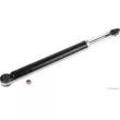 Jeu de 2 amortisseurs arrière HERTH+BUSS JAKOPARTS [J4320904]
