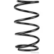 Ressort de suspension HERTH+BUSS JAKOPARTS [J4401023]