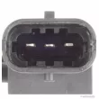HERTH+BUSS JAKOPARTS J5950400 - Capteur, pression des gaz échappement