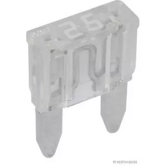 HERTH+BUSS ELPARTS 50295580066 - Fusible