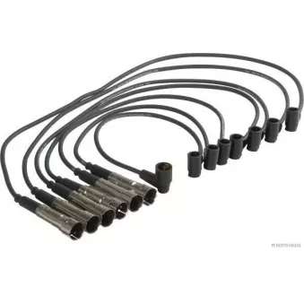 Kit de câbles d'allumage HERTH+BUSS ELPARTS OEM A1001503518