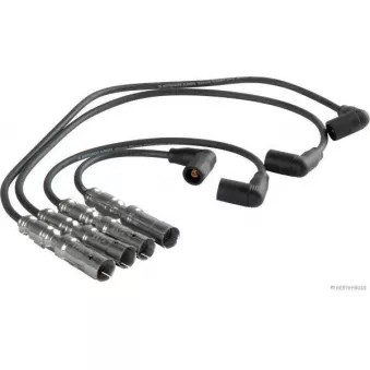 Kit de câbles d'allumage HERTH+BUSS ELPARTS OEM N10052904