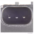 HERTH+BUSS ELPARTS 70668305 - Capteur, pression des gaz échappement