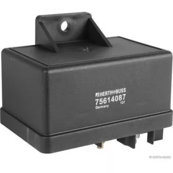 Appareil de commande, temps de préchauffage HERTH+BUSS ELPARTS OEM 0000005990986