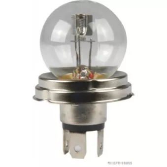 Ampoule, projecteur longue portée HERTH+BUSS ELPARTS 89901091 pour MAN G90 G 170,11 - 173cv