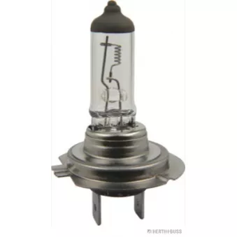 Ampoule, projecteur longue portée HERTH+BUSS ELPARTS 89901207 pour MAN TGA 35,410 - 410cv