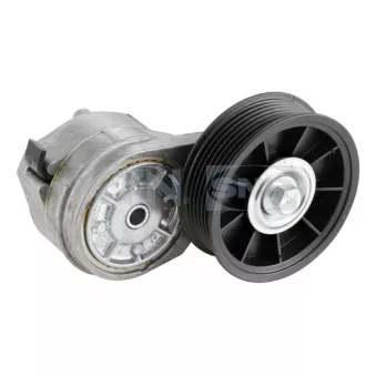 Poulie-tendeur, courroie trapézoïdale à nervures SNR GA361.01
