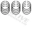 MOTIVE 4910 - Jeu de segments de pistons