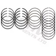 MOTIVE 5291 - Jeu de segments de pistons