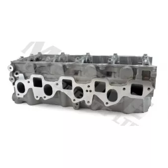 Culasse de cylindre MOTIVE OEM 4417968