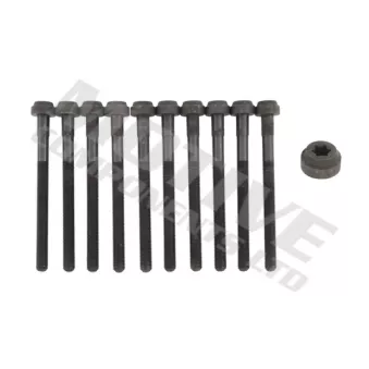 MOTIVE HB1638SET - Jeu de boulons de culasse de cylindre