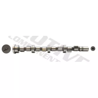 Arbre à came MOTIVE T1950