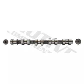 Arbre à came MOTIVE [T1956]