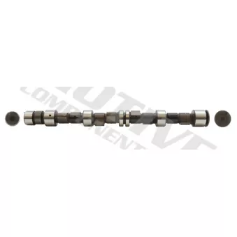 Arbre à came MOTIVE T2055