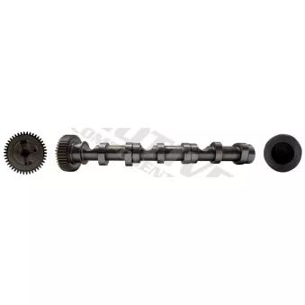 Arbre à came MOTIVE OEM 03P109021