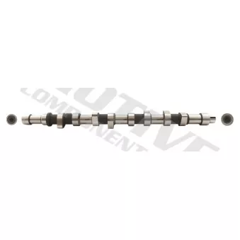 Arbre à came MOTIVE T7699