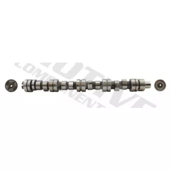 Arbre à came MOTIVE [T8135]