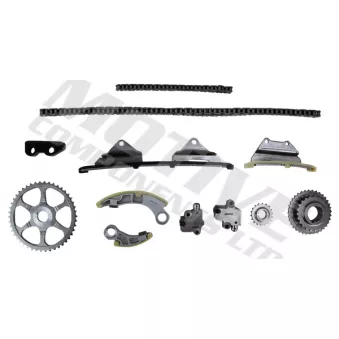 Kit de distribution par chaîne MOTIVE TCK235 pour HYUNDAI I10 2.2 i-CTDI - 140cv