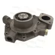 MOTIVE WP3548 - Pompe à eau