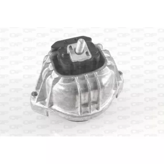 Support moteur OPEN PARTS OEM 22116768800