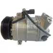 BV PSH 090.165.007.311 - Compresseur, climatisation