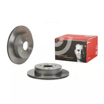 Jeu de 2 disques de frein arrière BREMBO OEM 432062V70AC166