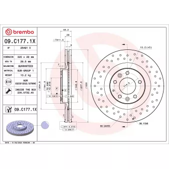 Jeu de 2 disques de frein avant BREMBO OEM EH143325X