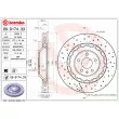 Jeu de 2 disques de frein avant BREMBO [09.D174.33]