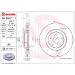 BREMBO 09.D507.11 - Jeu de 2 disques de frein avant