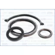 AJUSA 51009500 - Pochette moteur complète