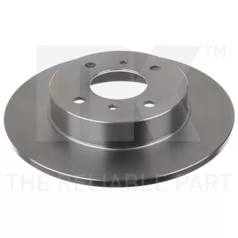 Jeu de 2 disques de frein arrière NK OEM 4320699J04