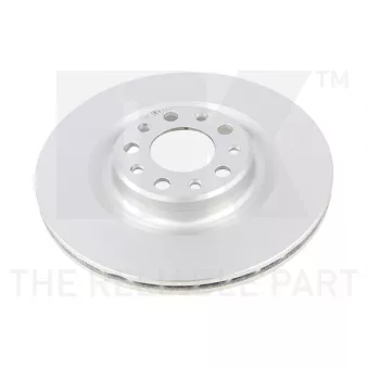 Jeu de 2 disques de frein arrière NK 311036