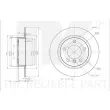 NK 3115121 - Jeu de 2 disques de frein arrière