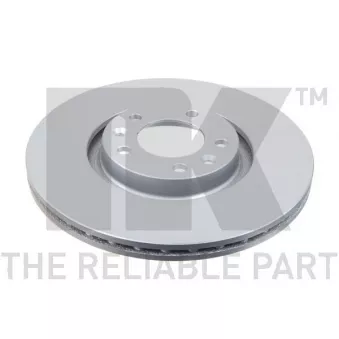 Jeu de 2 disques de frein arrière NK 311948