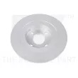 NK 313248 - Jeu de 2 disques de frein arrière