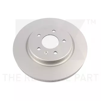 Jeu de 2 disques de frein arrière NK 313690