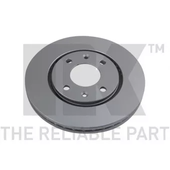 Jeu de 2 disques de frein avant NK OEM 4246L9
