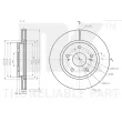 NK 315241 - Jeu de 2 disques de frein avant