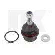 Rotule de suspension NK [5049305]