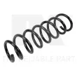 NK 531578 - Ressort de suspension 