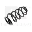 NK 5347219 - Ressort de suspension 