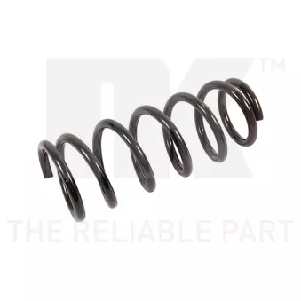 Ressort de suspension NK OEM 52441S6AG22
