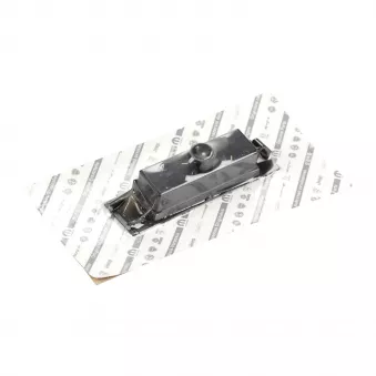 Feu éclaireur de plaque OE OEM 46532400