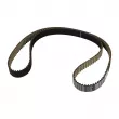 OE 504076915 - Courroie crantée