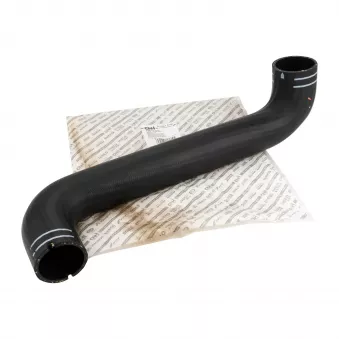 Durite de turbo OE OEM 504003918
