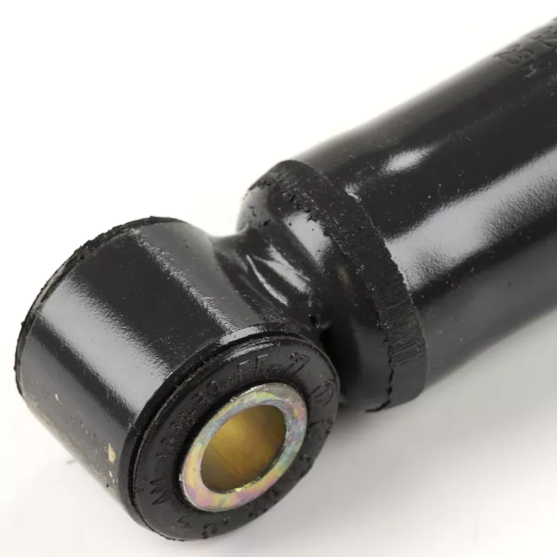 Jeu de 2 amortisseurs arrière OE 5801771631 - Visuel 1