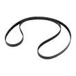 OE 670050824 - Courroie trapézoïdale d'accessoires