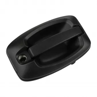 Poignée de porte OE OEM 735536268