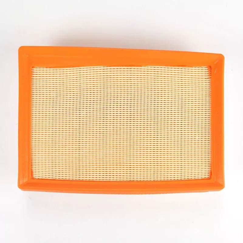 Filtre à air OE 6000633298 - Visuel 2